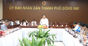 NVU 500 ngay dem